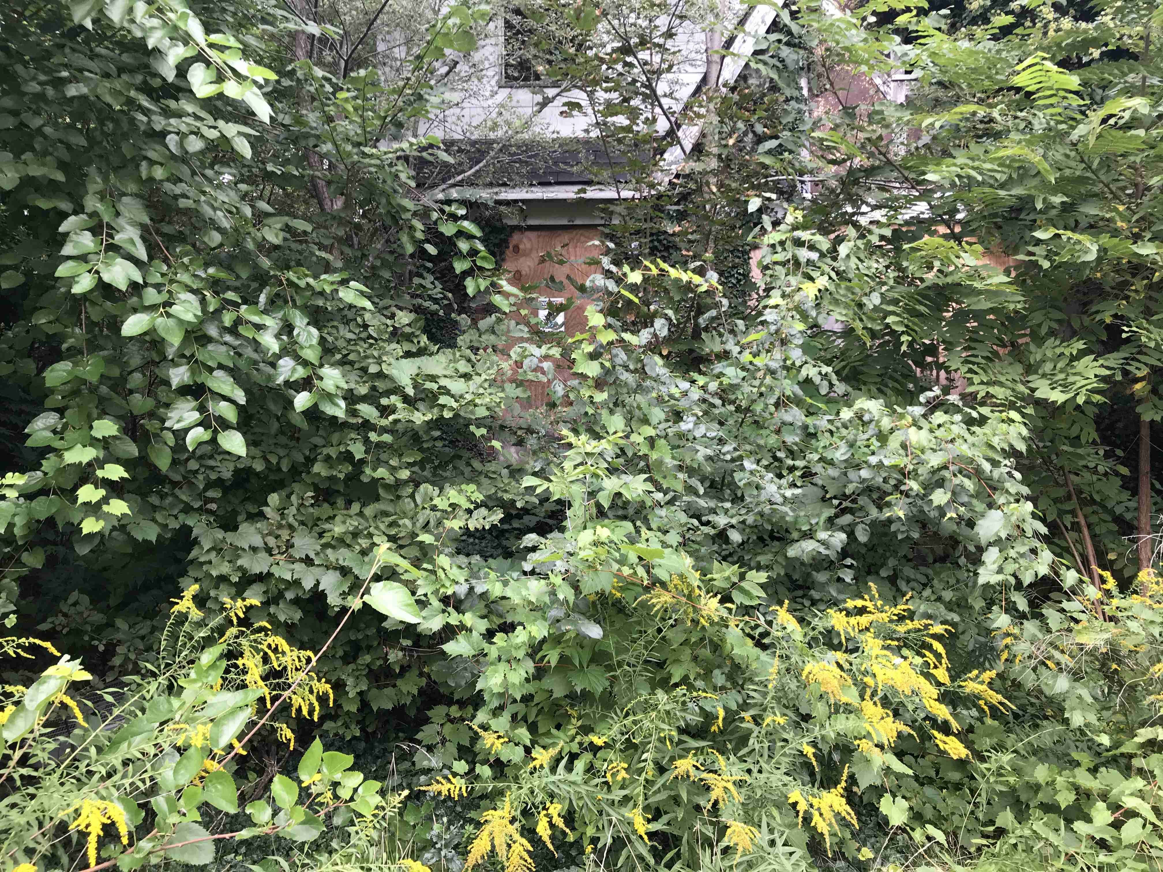 Photo Sep 10, 2 41 58 PM.jpg